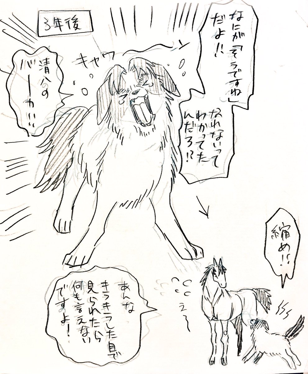 牧羊犬(ボーダーコリー)の団蔵と馬の清八 