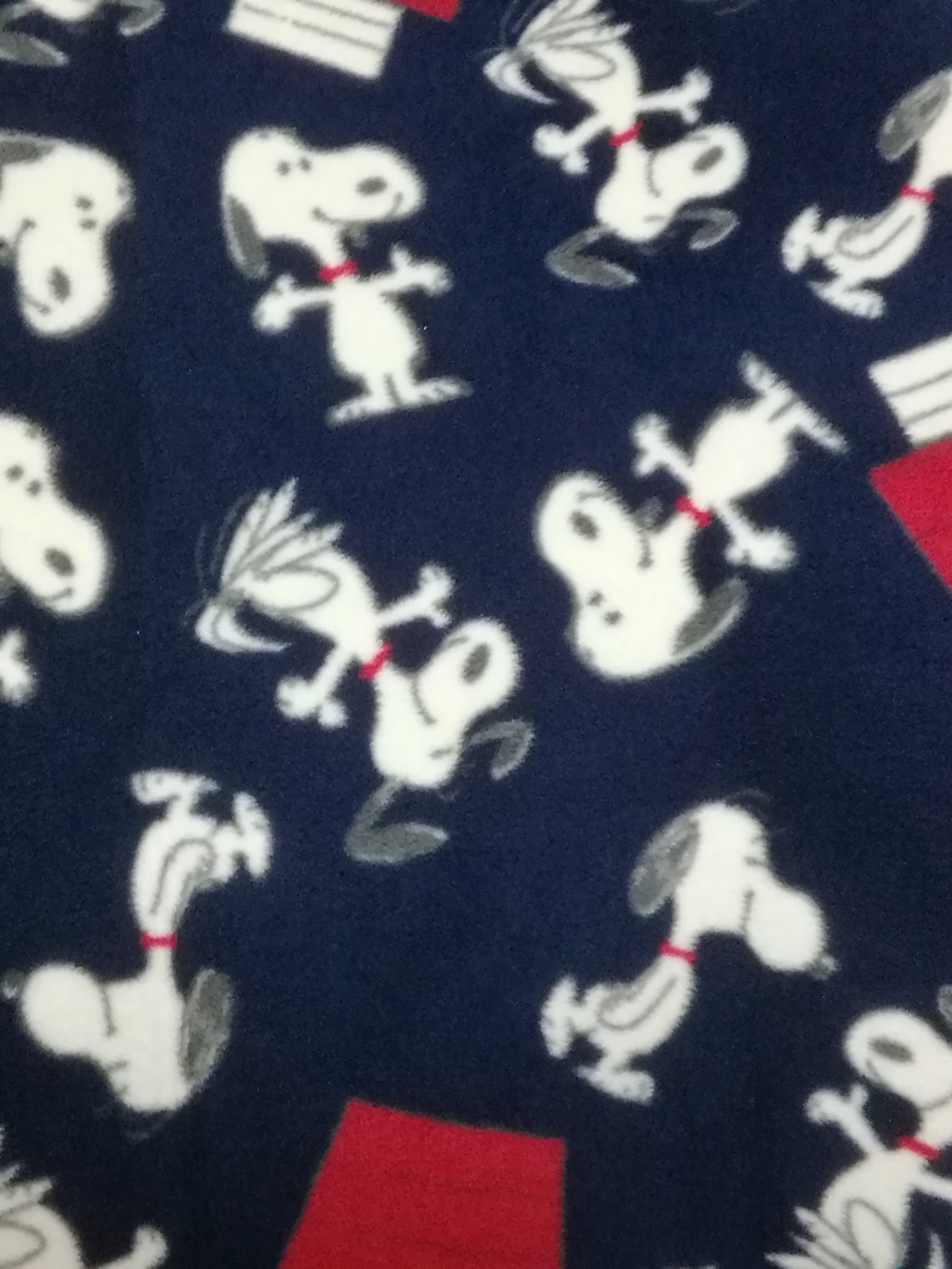 画像 ユニクロで買ったスヌーピー柄のブランケット かわゆす T Co Pdzzt8g7ab Matomehub まとめハブ