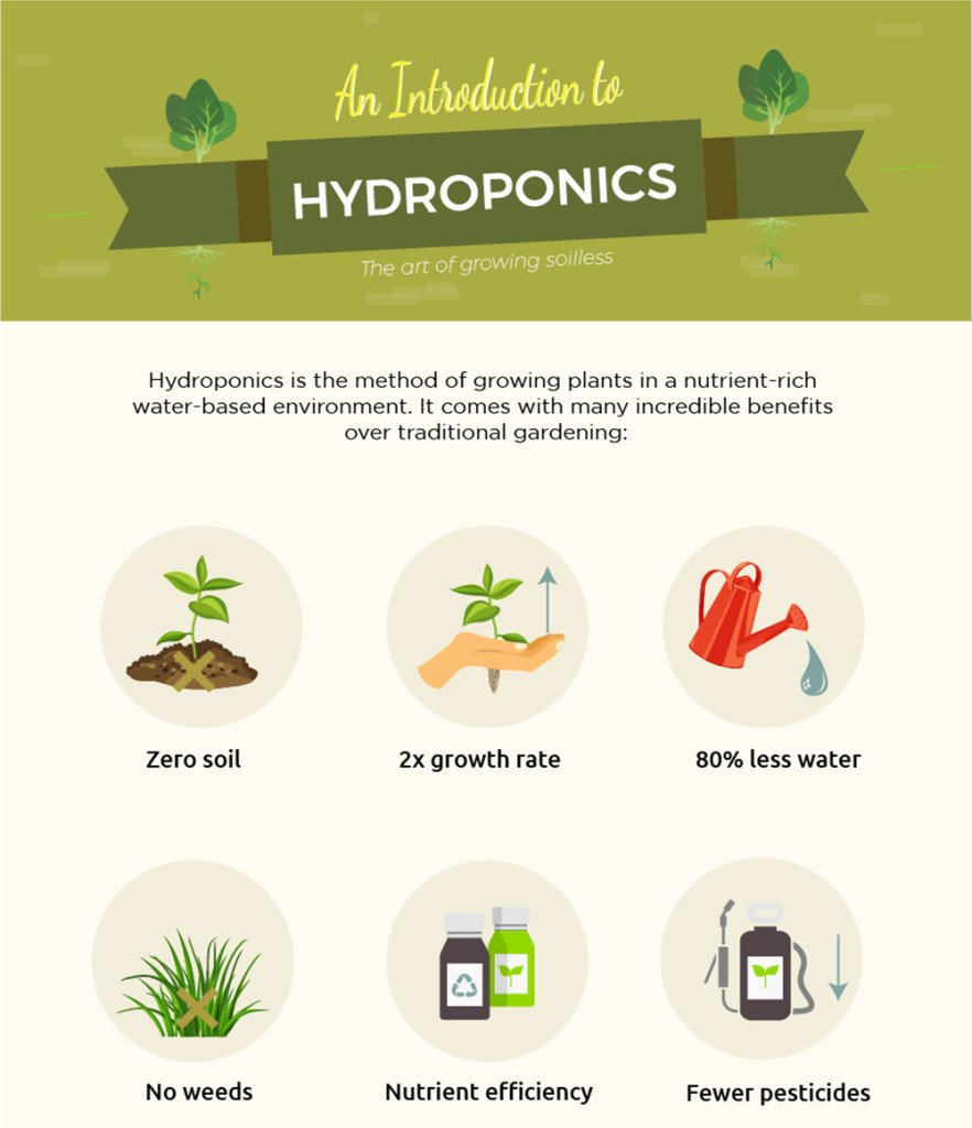 SweetPeasUG's tweet photo. Did you know that hydroponics uses 80% less water than traditional gardening? https://t.co/p7VDP94IWV https://t.co/YsjhDlnnH1
