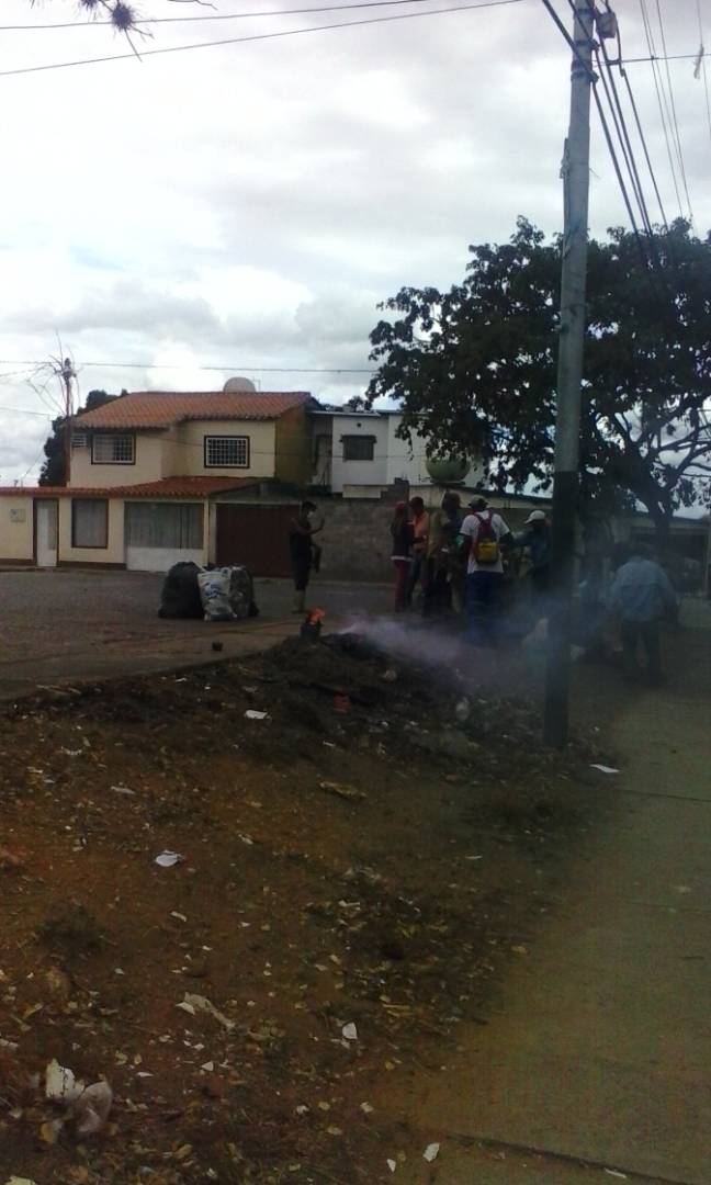 gustavorinc_n's tweet photo. En este momento, IASPMUPAL presente en Tarabana 3 recolectando basura #JuntosYJutasEsMasSencillo https://t.co/MD6UJDkTNv
