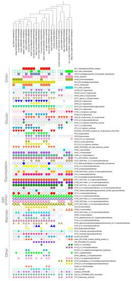 MDPIOpenAccess's tweet image. Diversity of Cell Wall Related Proteins in Human Pathogenic Fungi sci.fo/49z #FungalPathogen #FungalCellWall #Glycosyltransferase
