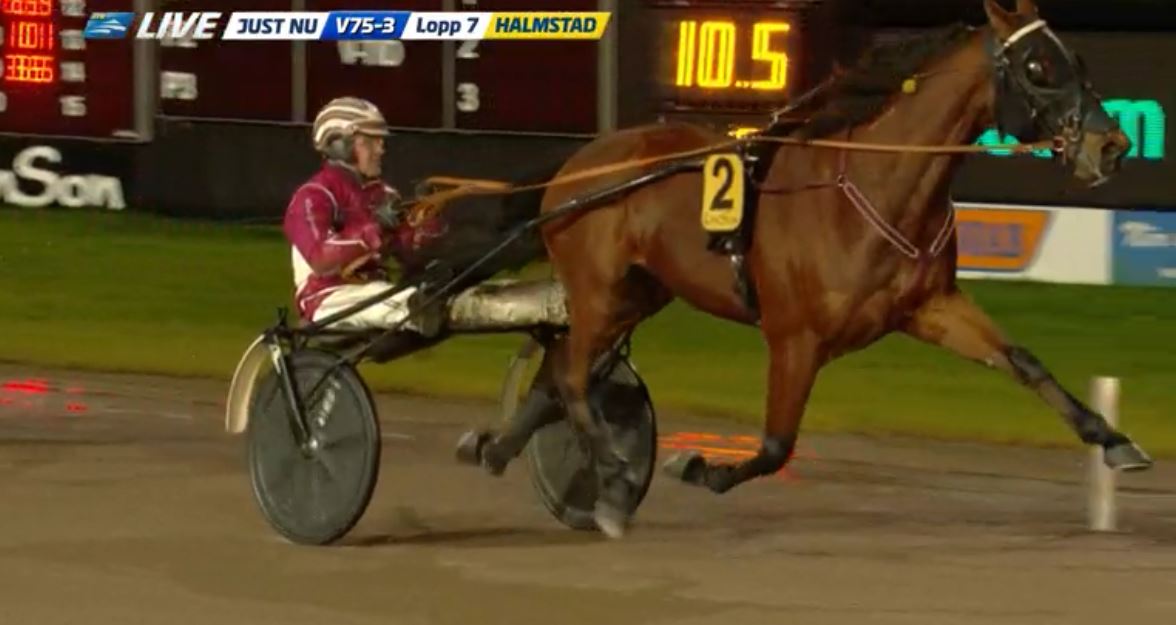 Joe_Zagari's tweet photo. #DanteBoko 🇸🇪 #GoingKronos won Spring Eroms Lopp - #Gulddivisionen on @HDtravet with @lutfikolgjini1 in 1.10.7 on 1 mile over #Västerboonthenews, 5th #SpringErom https://t.co/evNtngdkWD