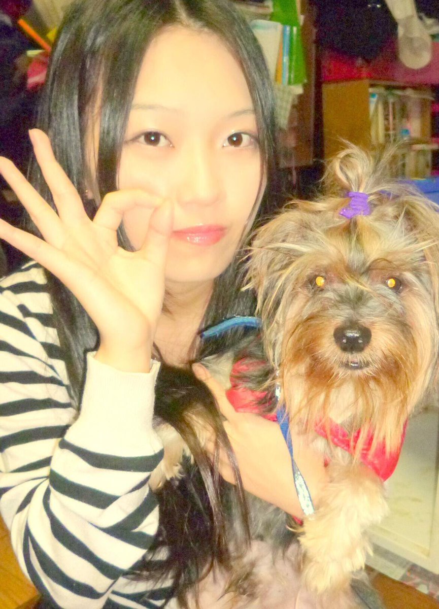 SOS_Chihiro's tweet image. 皆さんにとって今年はどんな年でしたか？今年私は仕事で心が潰れかけた年でしたが色々考えたり過去を振り返ったりして、自分のやりたいようにやろうと改めて考えました。来年から心機一転しようと決心しました🌟皆頑張ってるんだから自分も負けてられないな！皆さんにとって来年も素敵な年を🌟