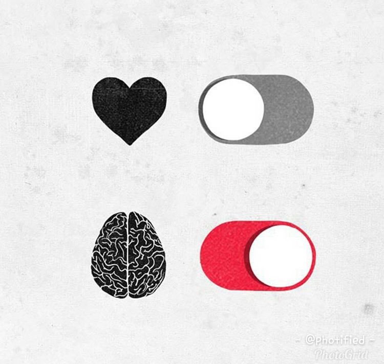 السيدة كوكتيل | 🍳 (@mrs_cocktail) on Twitter photo 