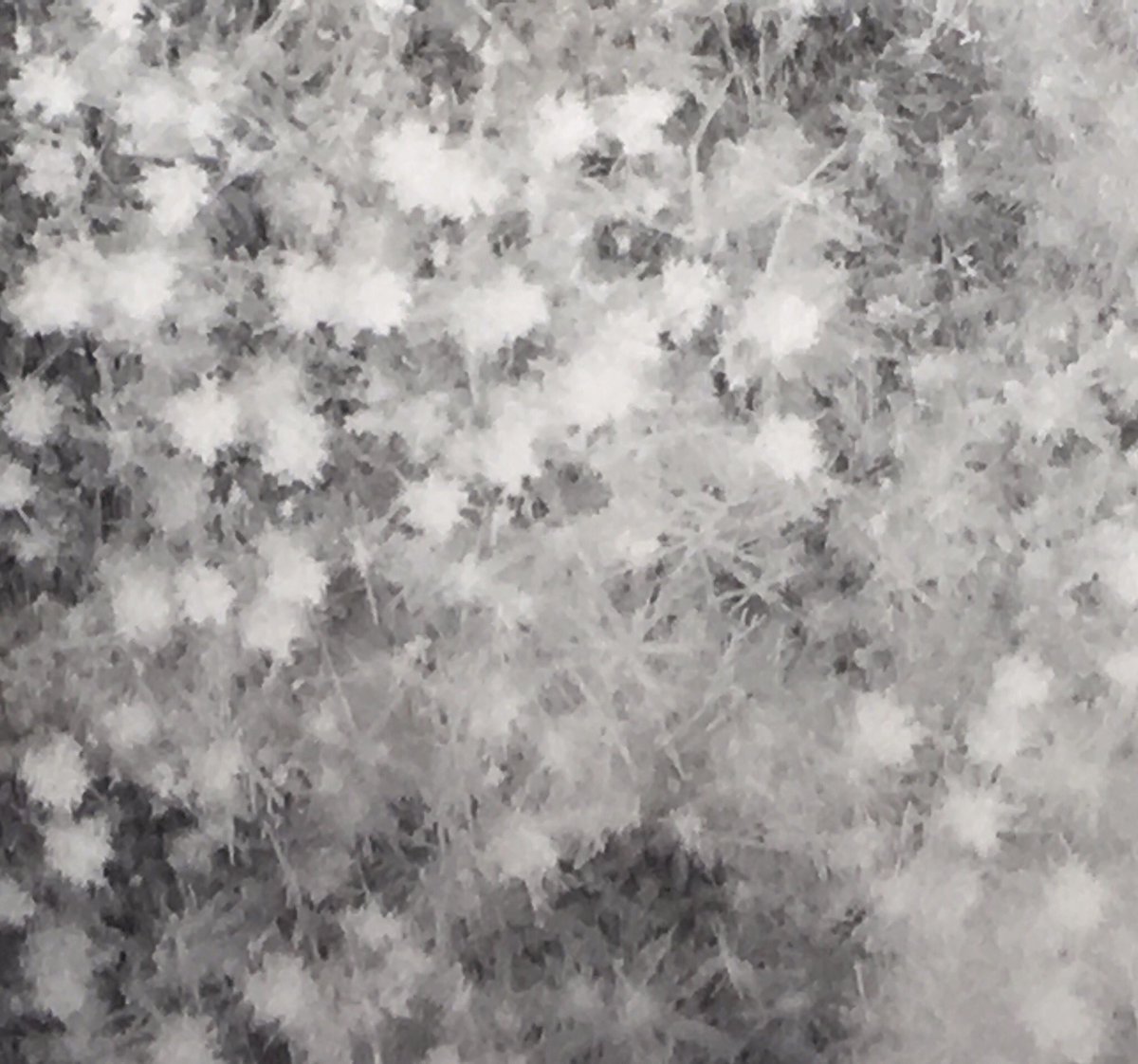 BeachszQ's tweet photo. @DaveCurren @News12NJ Take a look at the snowflakes great science observation
Sue Pazinko @Bradleybeach #NJToday #NJwx @News12NJ 
https://t.co/rHxGPI1KVr https://t.co/eOePI94us3