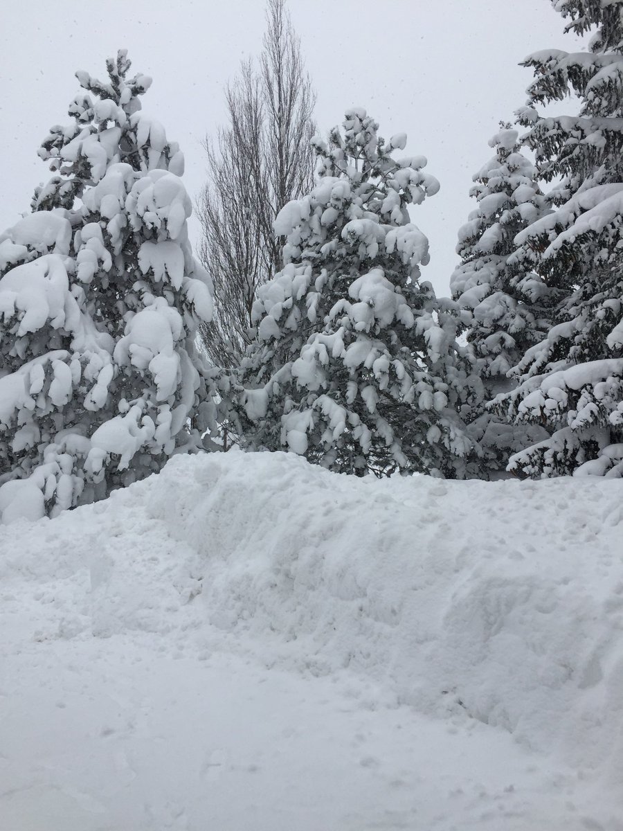 Ahdontnawboutha's tweet image. Have you guys considered adding “shoveling” as an exercise on the BodySpace app? #Erie #recordsnowfall #72+inches @Bodybuildingcom @THEBodySpace