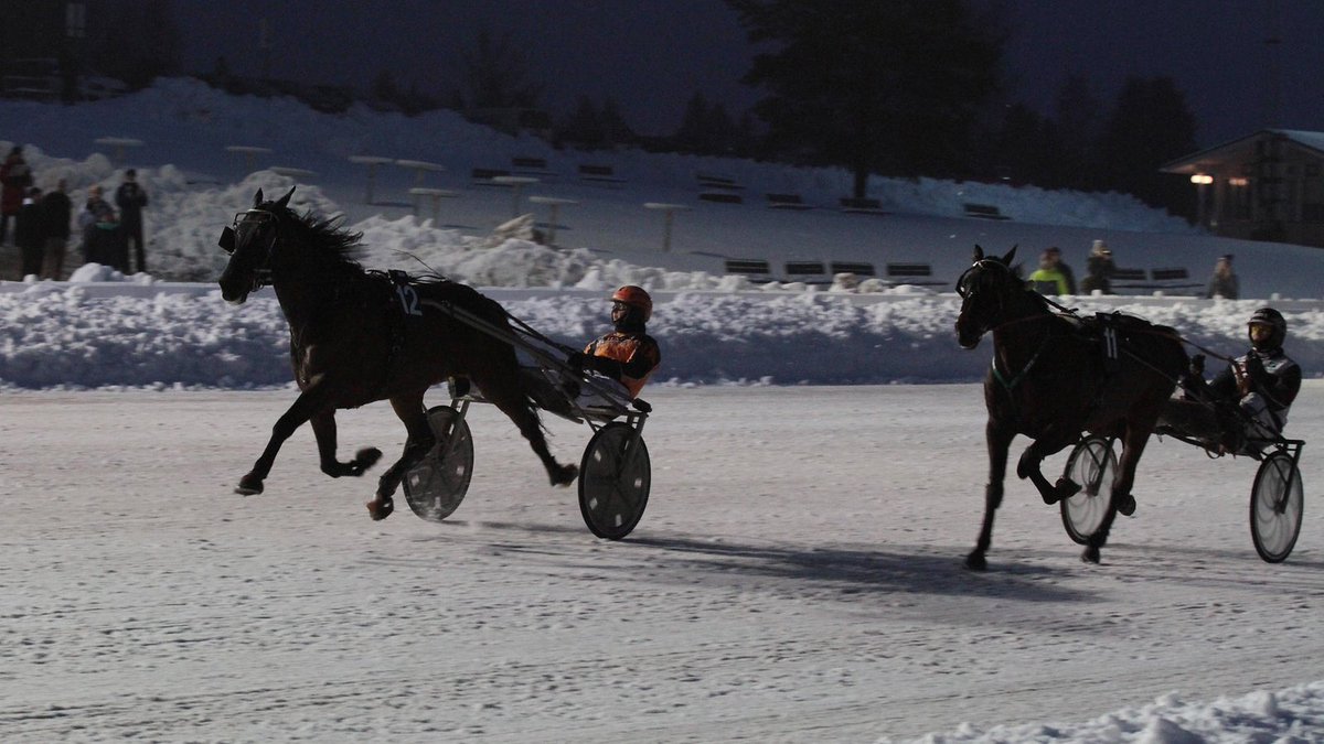 Mika Forss dominoi vuoden viimeistä Toto76-kierrosta: Lahden Jokimaalla ravattiin vuoden viimeinen Toto76-kierros kera superjackpotin. Mika Forss vei nimiinsä peräti kolme T76-kohdetta. dlvr.it/Q8DQk7 #ravit