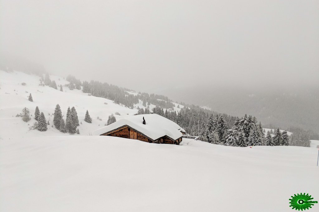 L'image du jour: Saturday Rainday team-oldenhorn.net/saturday-raind…