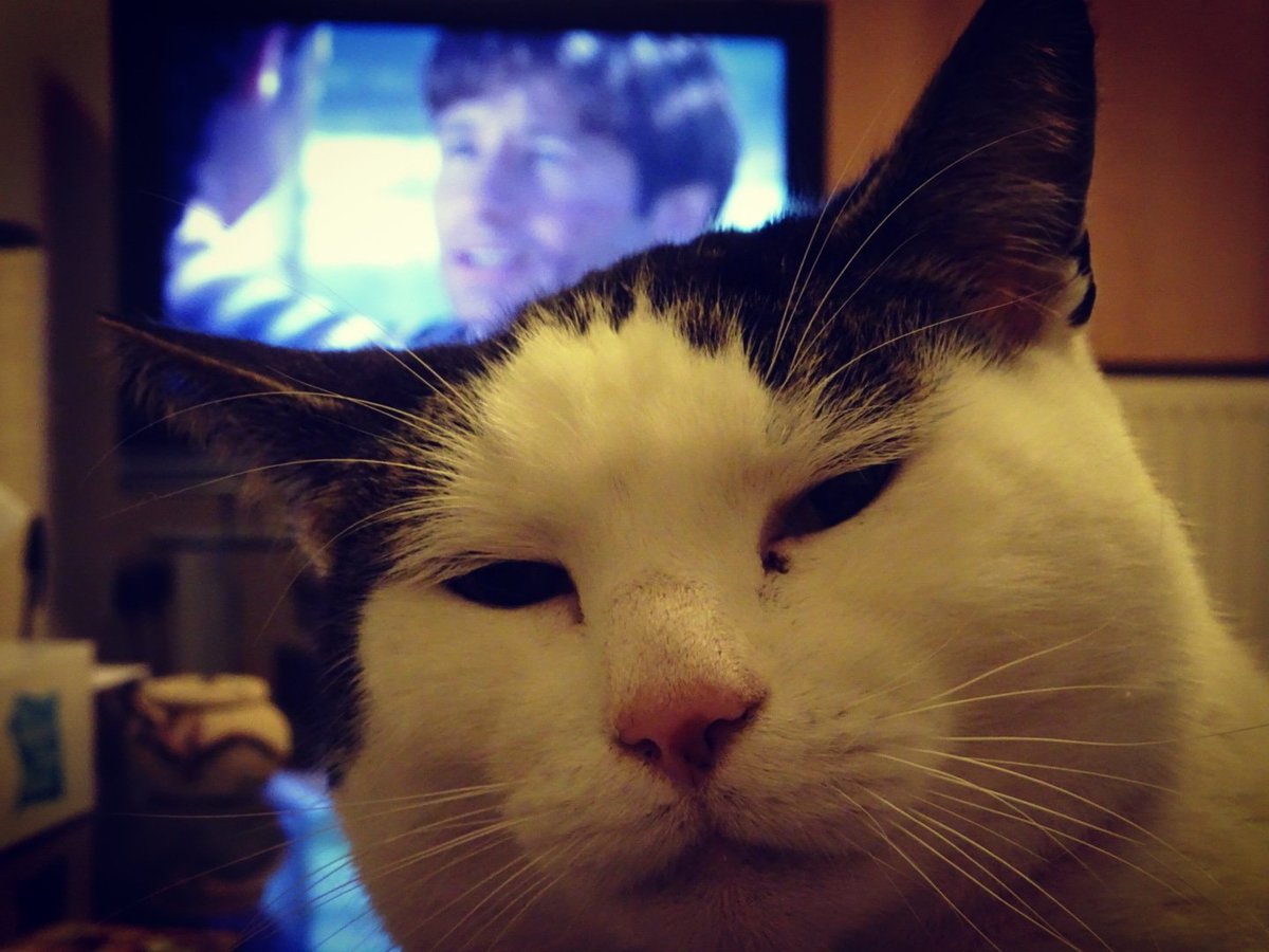 i_am_obie's tweet photo. @brick_duchovny @thexfiles Not long now! #excitedmuch Meanwhile having an #xfilesbinge https://t.co/VDAeK0212a