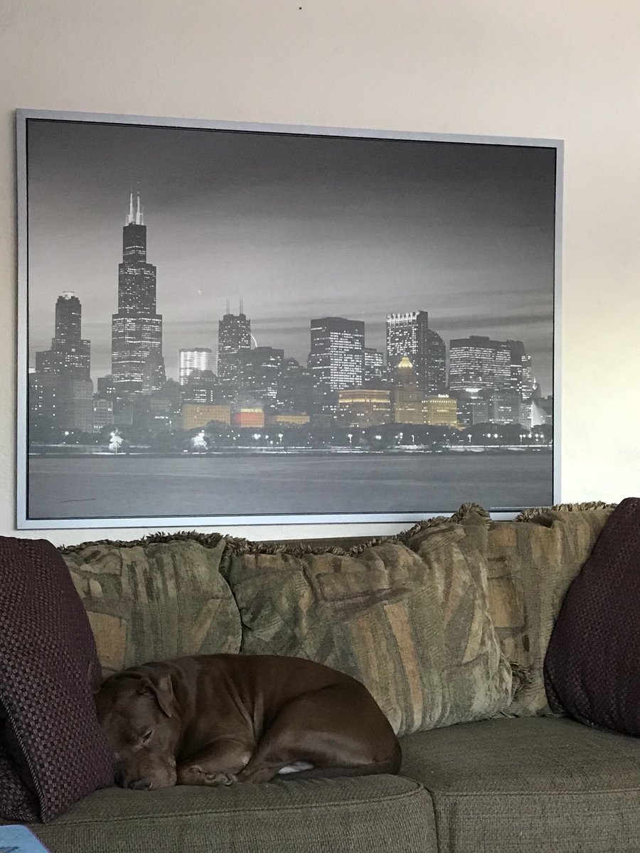 andrewyeoman2's tweet photo. #rocky #naptime #toocoldtogooutside #4below https://t.co/bqkdNeqDjf