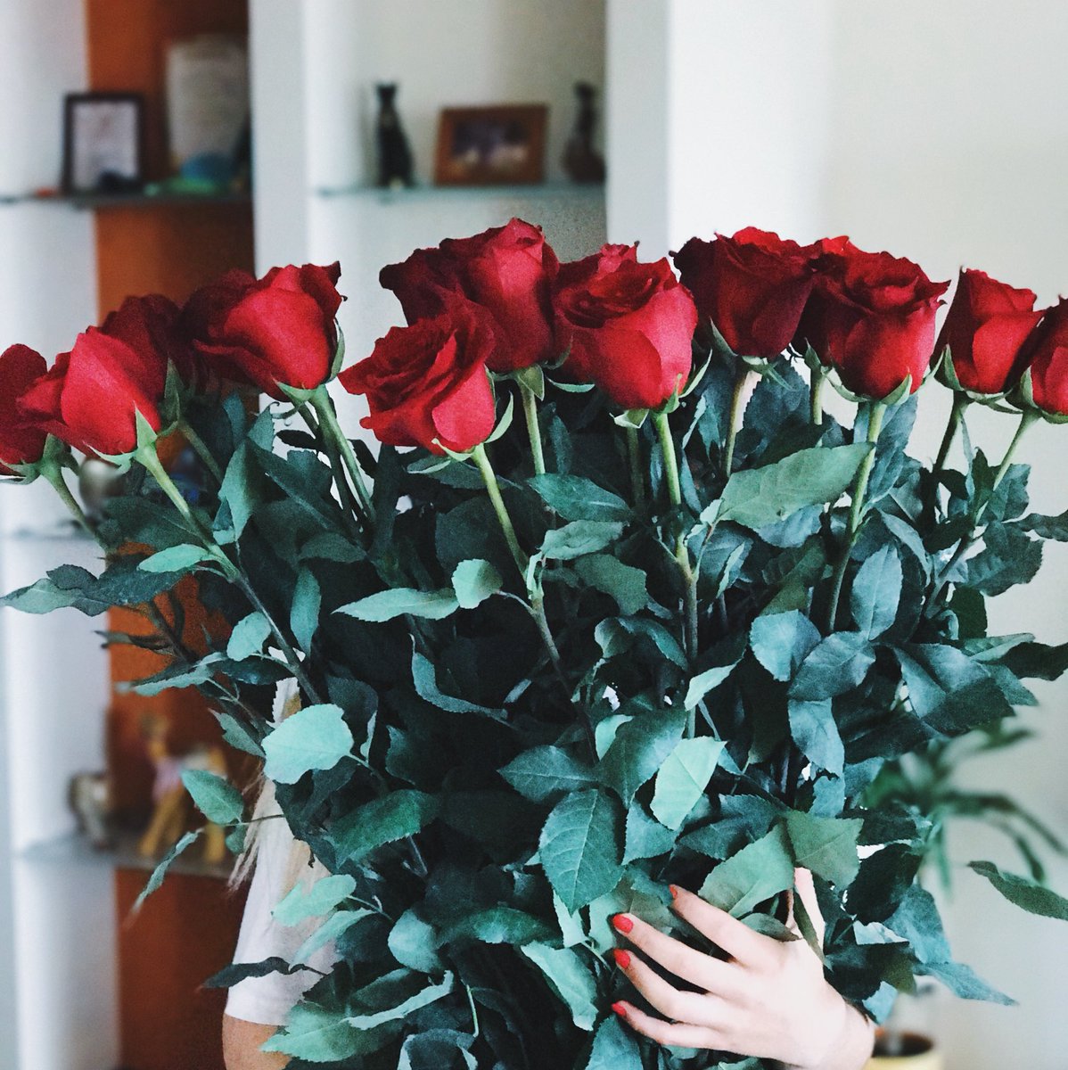 Это были самые огромные розы в моей жизни ростом с меня😻❤️