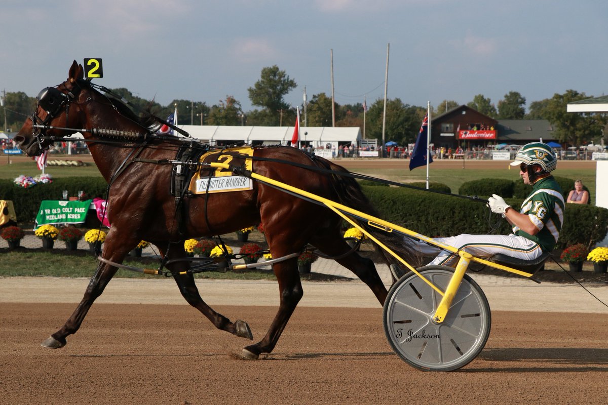 hoosiernations's tweet photo. GoodAfternoon @Hanovershoefarm @RonBurkeRacing @Gingras3 @Chris_wponies @JoannKi32885615 @rebelsart @vnssa926 @dolenski_john @jtlburn @kimberlymoier @KathleenBaitzel @SadandSulk #FilibusterHanover #YannickGingras #Delaware https://t.co/7MyXk4YtKB