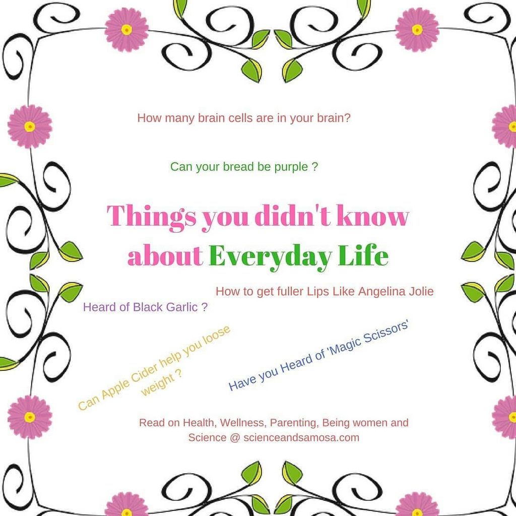 blogchatter's tweet photo. Everything you wanted to know about Health, Wellness, Being Women and Parenting is explained @ Scienceandsamosa Blog with a 'dose' of science #HealthWellnessScience #BlogchatterProjects
.
.
#blogger #bloggingtips #bloggerlife, #bloggersgetsocial #ontheb… https://t.co/wiuf1GJSAs https://t.co/LE0bT4nlNp