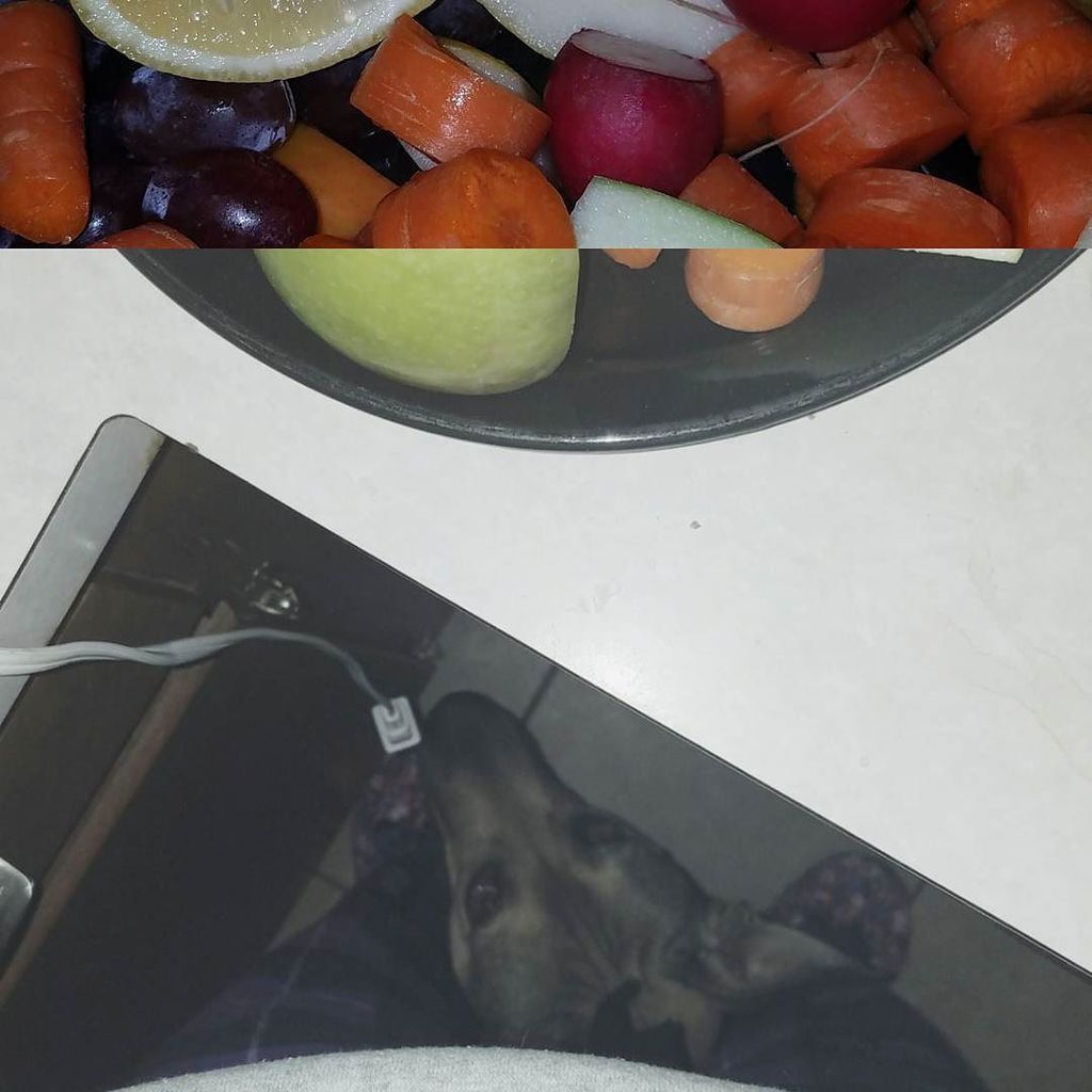 QueenyIsReading's tweet photo. #PeekABoo #ScarlettOverkill wants my #FruitAndVeggies #FB https://t.co/d8ocSlxzzR https://t.co/Pyr0avbEki