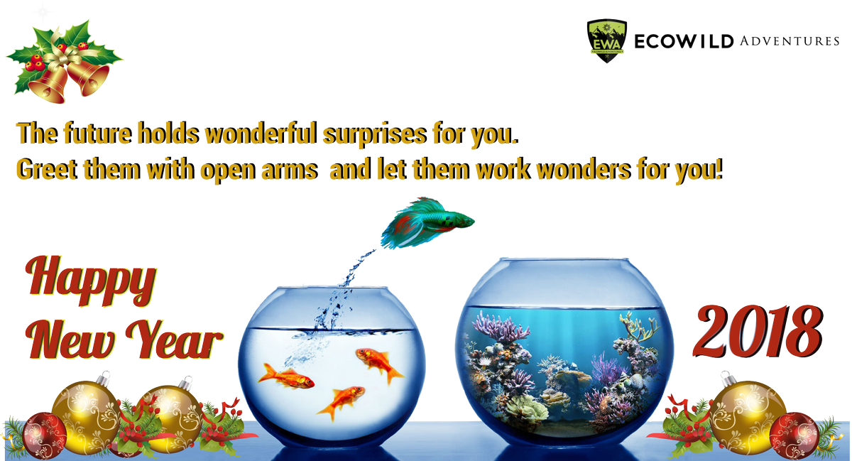 ewaindia's tweet photo. EWA Wishing you a happy, healthy New Year #NEWYEAR #CELEBRATION #EWA #CAMPING #TREKKING https://t.co/i76OaWzcUR https://t.co/cVrTmy06An