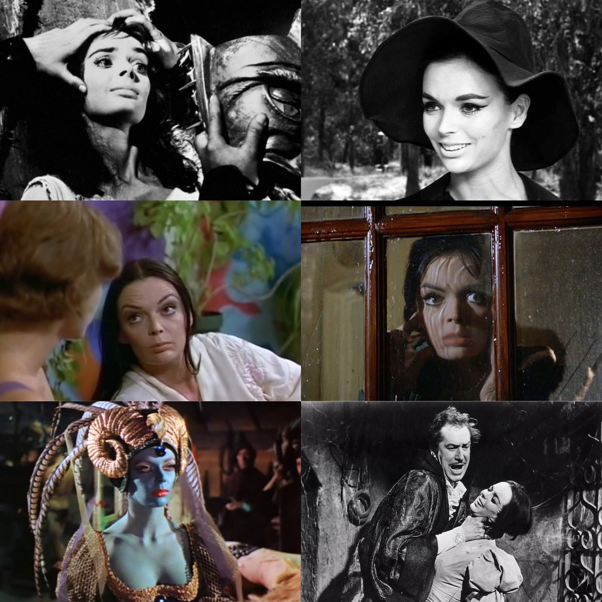A very Happy belated Birthday to the magnificent Barbara Steele who turned 80 years young yesterday. 