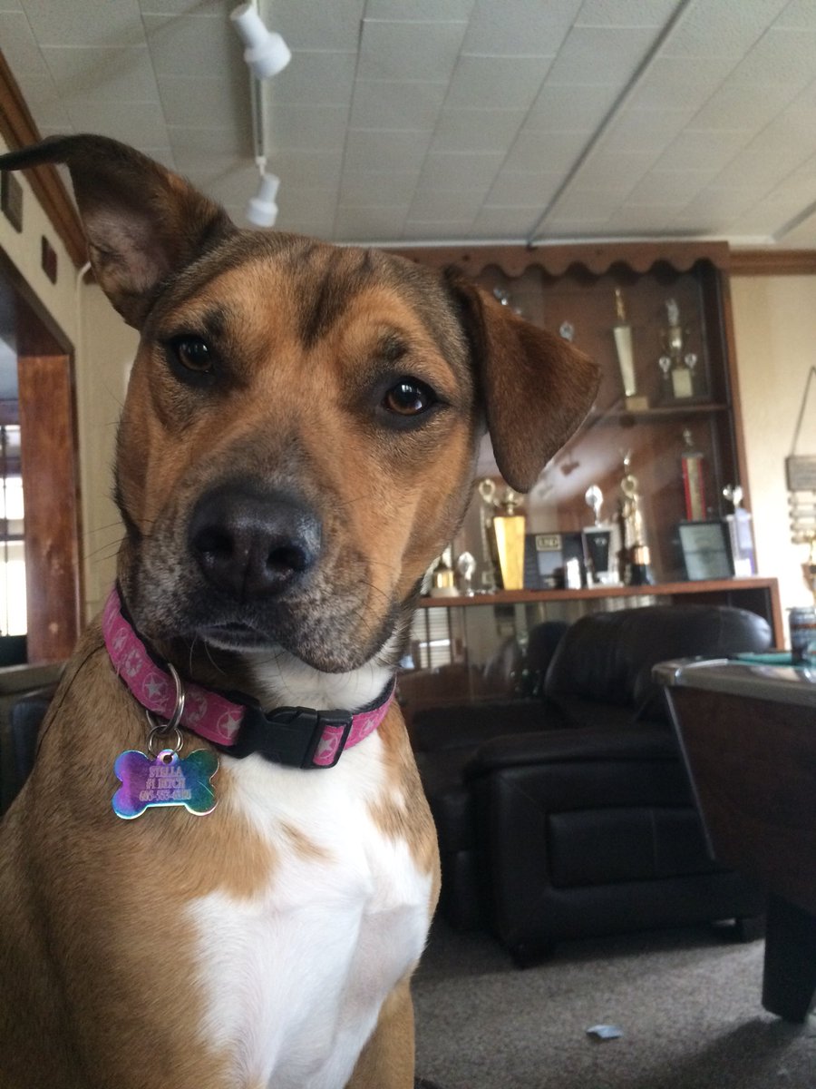 the Lambda Queen is back on her throne