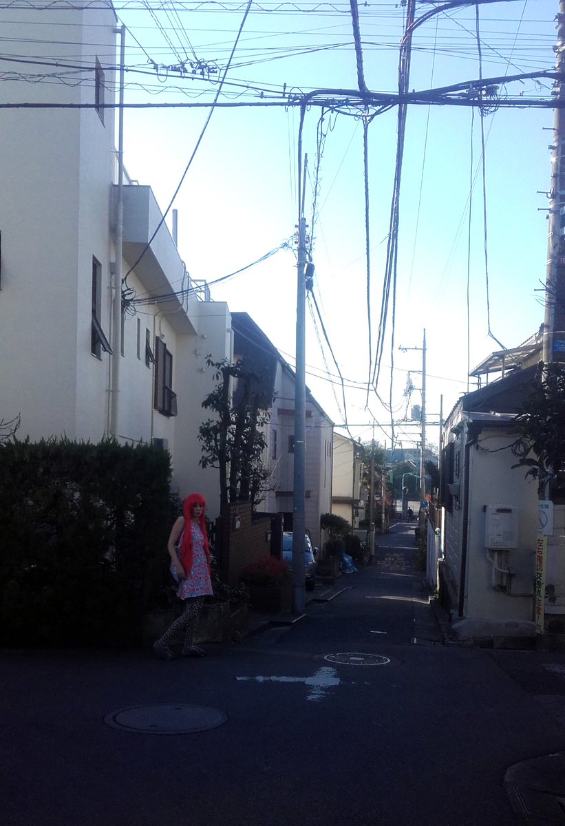 hashtaglooli's tweet photo. somewhere in #suginami-ku....#looli #hastaglooli https://t.co/Cxekf4mlQ0