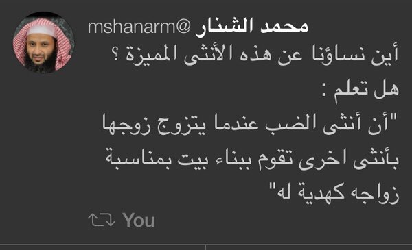 natalia68_'s tweet photo. طب ما تتجوز ضب حد مانعك🤔 https://t.co/Jiw2P6J679
