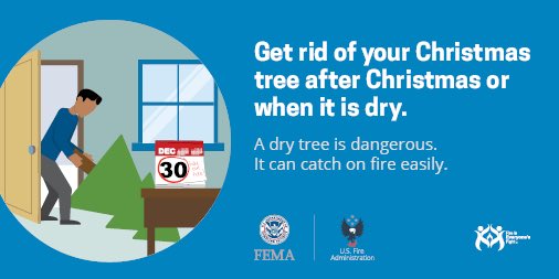 usfire's tweet photo. Remove your #Christmas tree immediately after the holidays even if you think it is not dry. On average, one of every 32 reported home Christmas tree fires results in a death. #WinterFireSafety https://t.co/FmDh4llafA