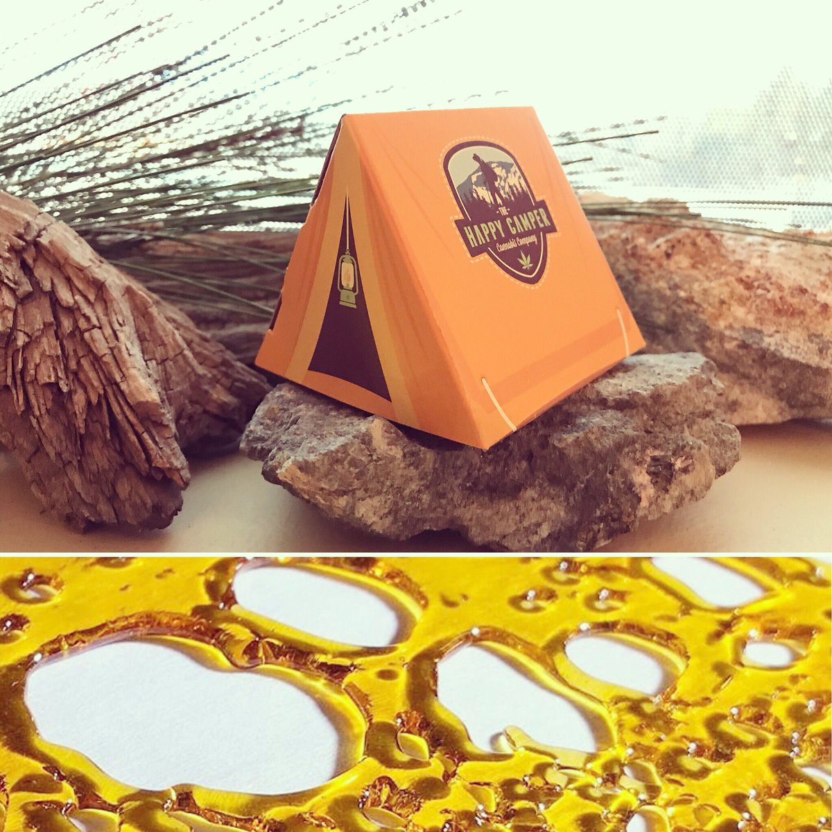 THCbailey's tweet photo. Happy Shatterday!! π Letβs send 2017 packin w some hefty dabs πβοΈ 15% off all concentrates π
.
.
.
#shatterday #coloradocannabis #thcbailey #imahappycamper #bye2017 #byefelicia #dispensarydeals #shatter #erl #bho #shatter #terps #slabdab #dabaday #terpslurp #dispensary https://t.co/bJNEg1eS3w