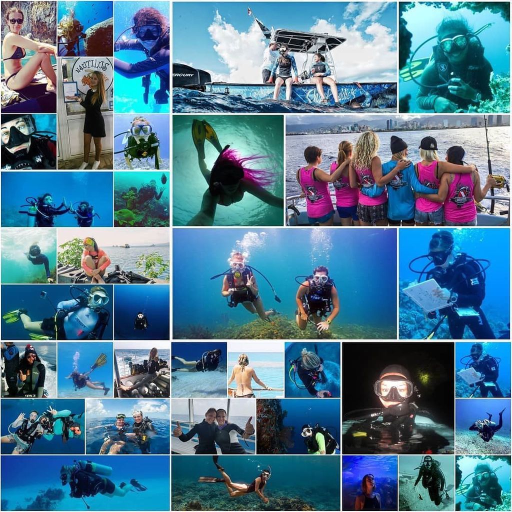 Reflecting on 2017! Thank you to everyone who helped to grow ScubaGirl this year. We truly appreciate you! Let's make 2018 even better 💕🌟
.
.
.
#dive #divelife #scuba #travel #addictedtotheocean #newyear #2018goals #exploring #livetodive #underwater … ift.tt/2Cmq9UN