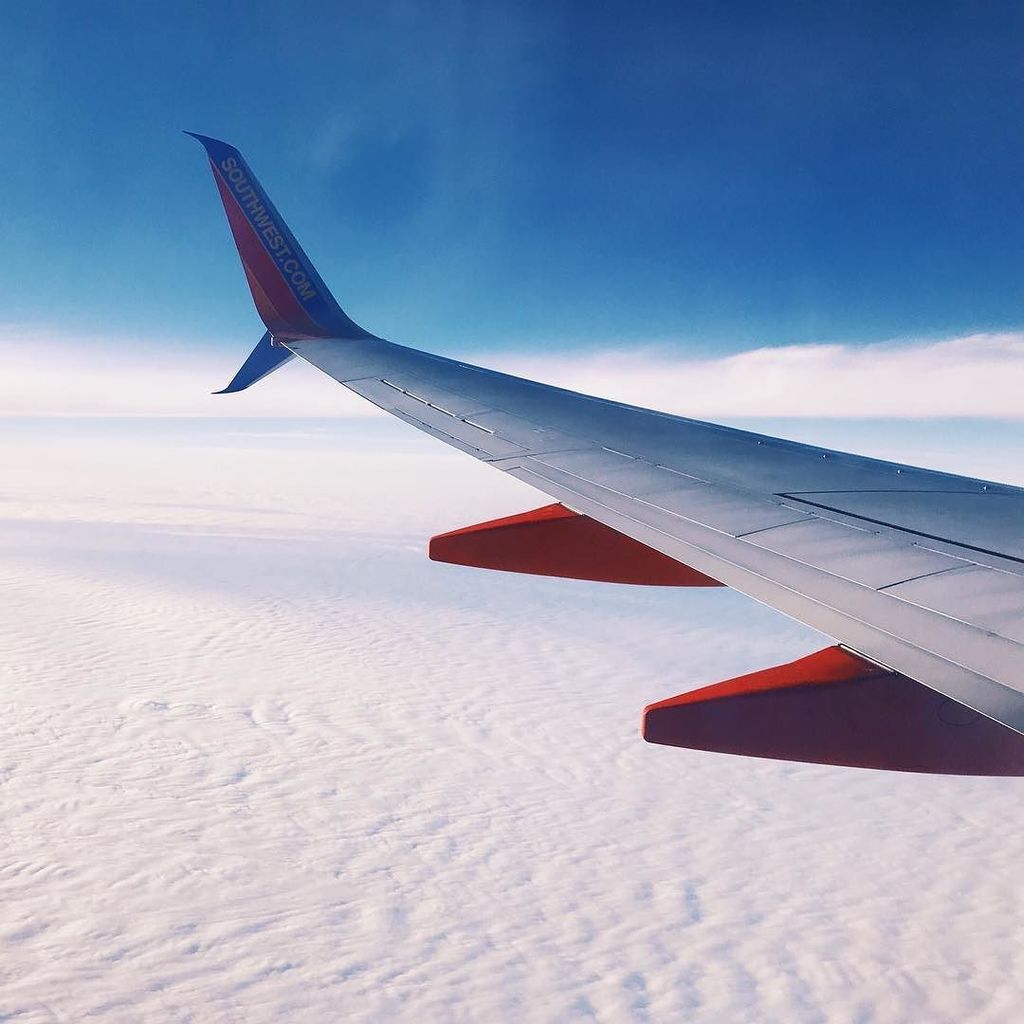 tess_wicks's tweet photo. Touchdown in Vegas, wheels up for Phoenix, then on to Cabo. 3 airplanes in 1 day means I’ll be eating Vitamin C like candy until I’m strolling along the beach with a margarita in one hand and my camera in the other. #fluseason #donotgetsick #thethingswed… https://t.co/6AVrqWX5Ix https://t.co/eJW0WOmbsW