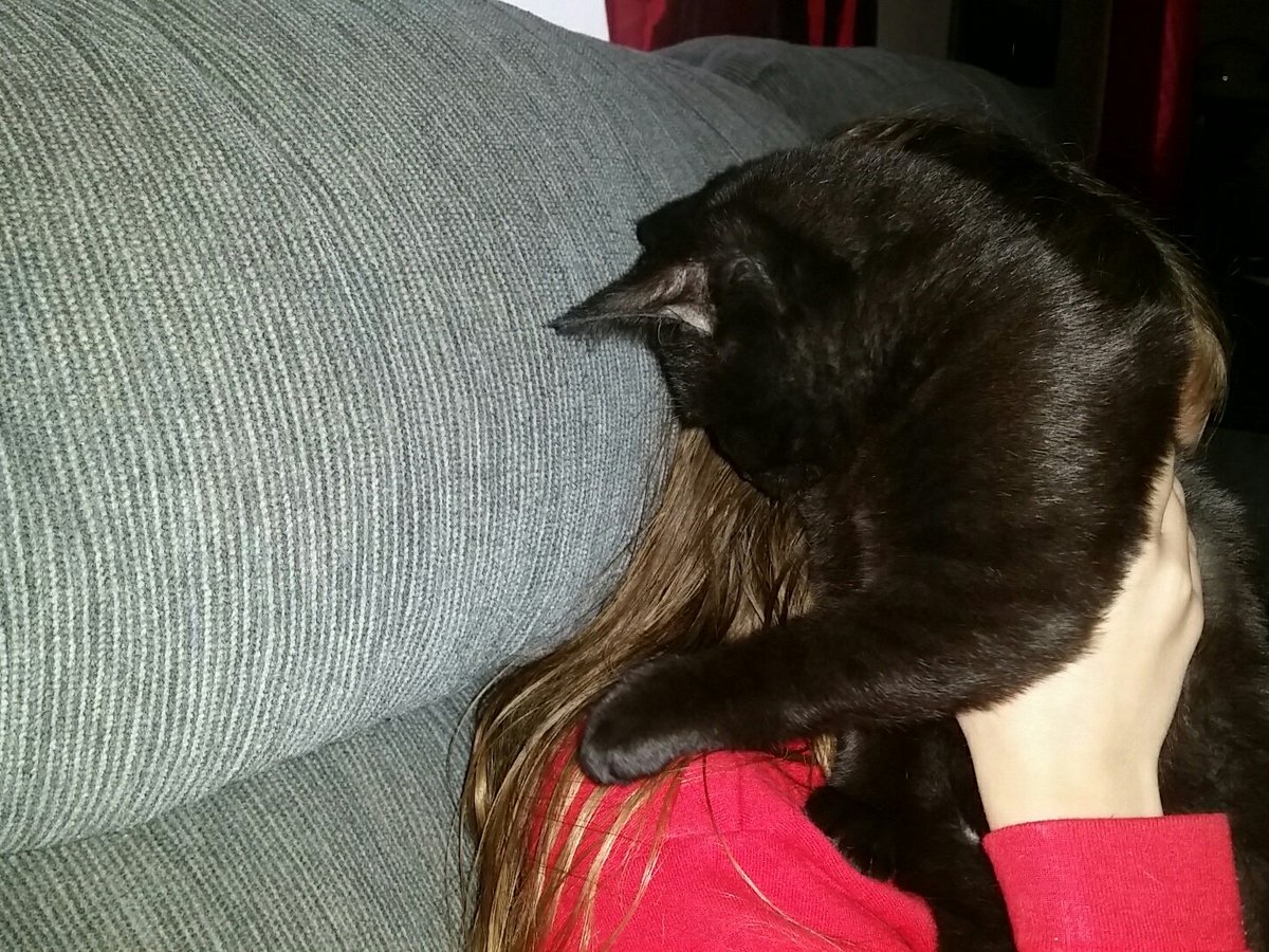 carpedixiexxx's tweet photo. JM said look at her cute cat, but mind ya own on her privacy. 😂😂😂 https://t.co/WWMqzcu2Nu