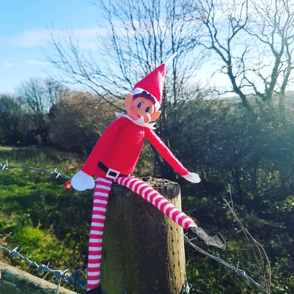 CampingHB's tweet photo. FARM ELF FUN https://t.co/RDK7IwxKlK https://t.co/NOG0nrQIac