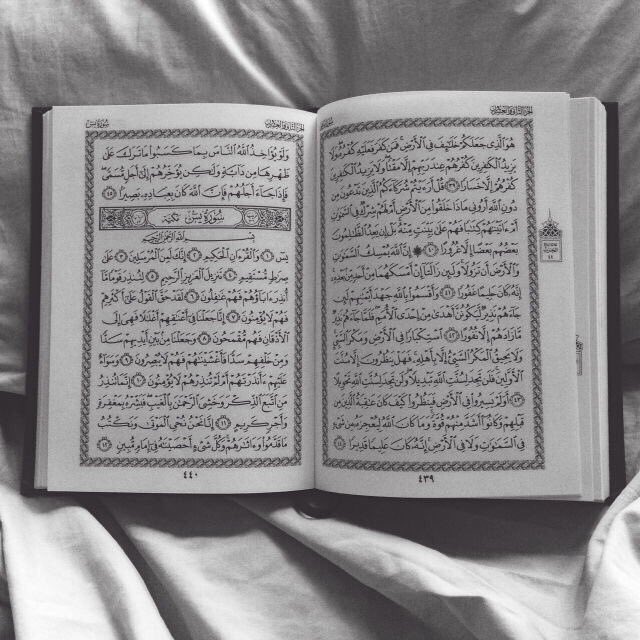 "صاحبُ القرآن لا يضرّه إن ماجت الدّنيا حوله، وطحنت الضّراء قلبه، ورسمت المصائب تقاسيمها على وجهه، تظلّ روحه رضيّة، لا ترى الحياة إلا ربيعًا"