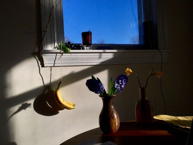 The photo-dialogue between <a href="/manjee/">Manjari Sharma</a> and <a href="/irinarozovsky/">Irina Rozovsky</a> highlights visual elements, colors and mood each photographer responded to. buff.ly/2EhFgNL [Photo by Irina Rozovsky.]