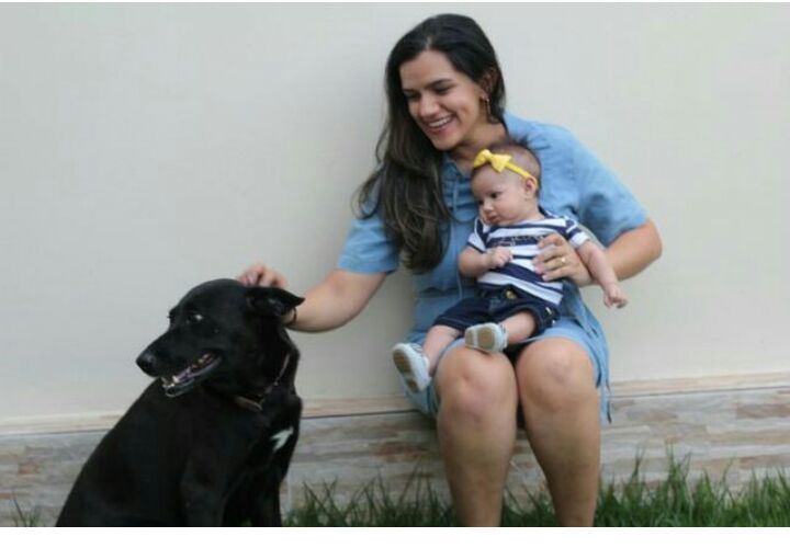 Cadela desaparece com medo de fogos e família oferece recompensa de R$ 300 para quem encontrar animal glo.bo/2ltTl1M #G1