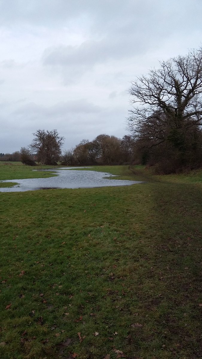 msteventsltd's tweet image. Some updates on the Gut Buster course for tomorrow - it's absolute filth out there &amp;amp; you are going to love it! The stars have aligned &amp;amp; the courses are perfect. Multiple water crossings, muddy gulleys,  Roman Walls &amp;amp; a ploughed field to finish. You're welcome.