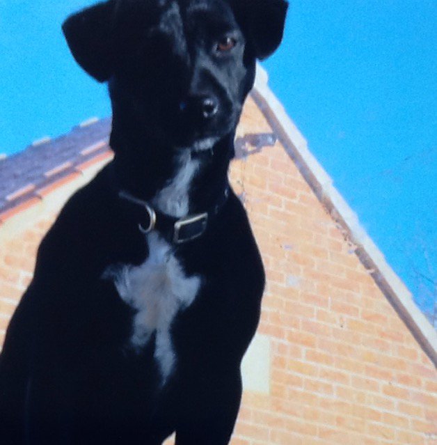 Hemp & Tinker tweet media