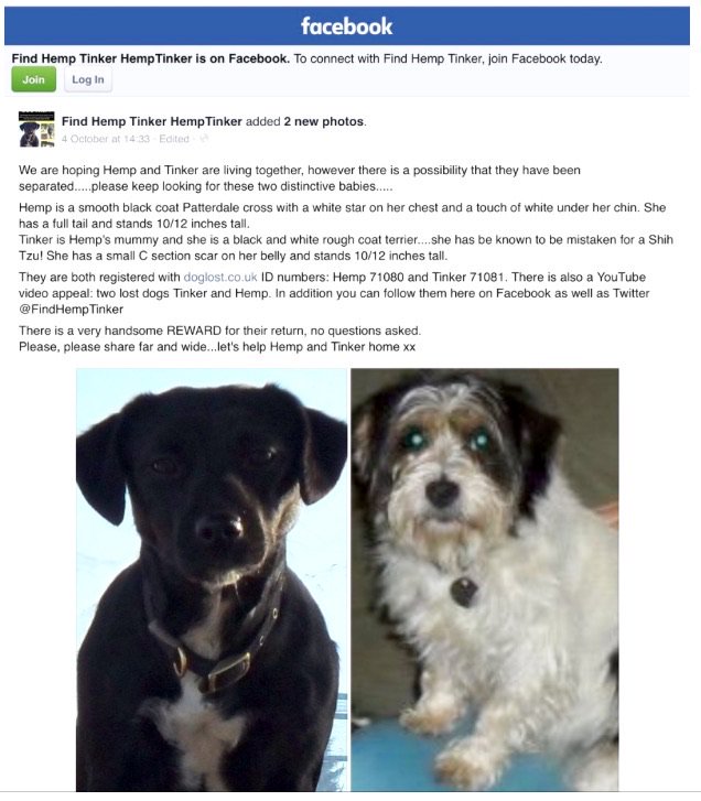 Hemp & Tinker tweet media