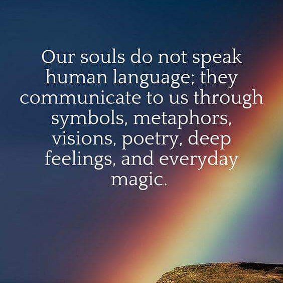 Pascalemaas1's tweet image. 😇