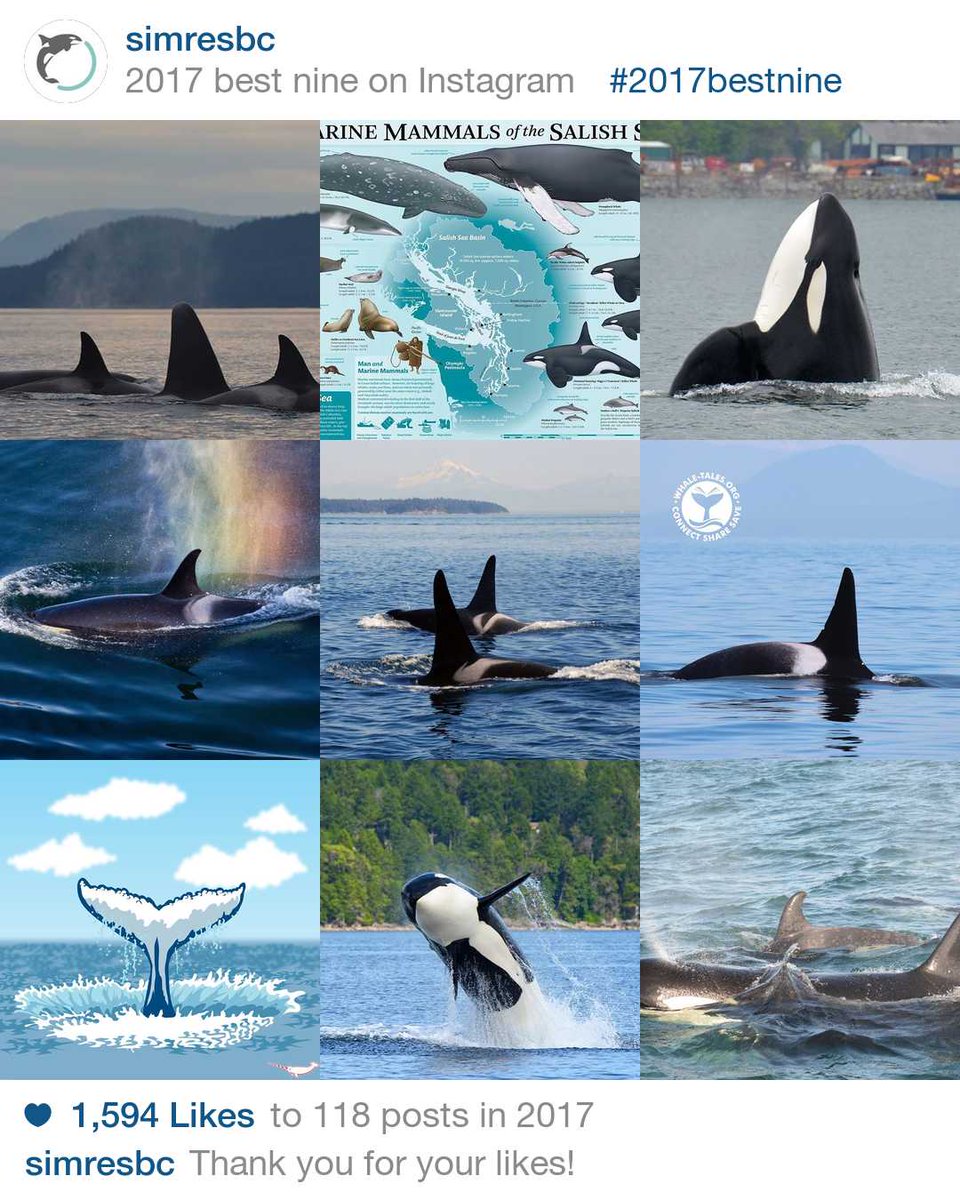 SIMRES's tweet photo. What a year! (apparently you all love whale photos!). Thank you so much for all your support in 2017-can't wait to see what 2018 brings!
#2017bestnine #simres #saturna https://t.co/X7w4IiCx0l