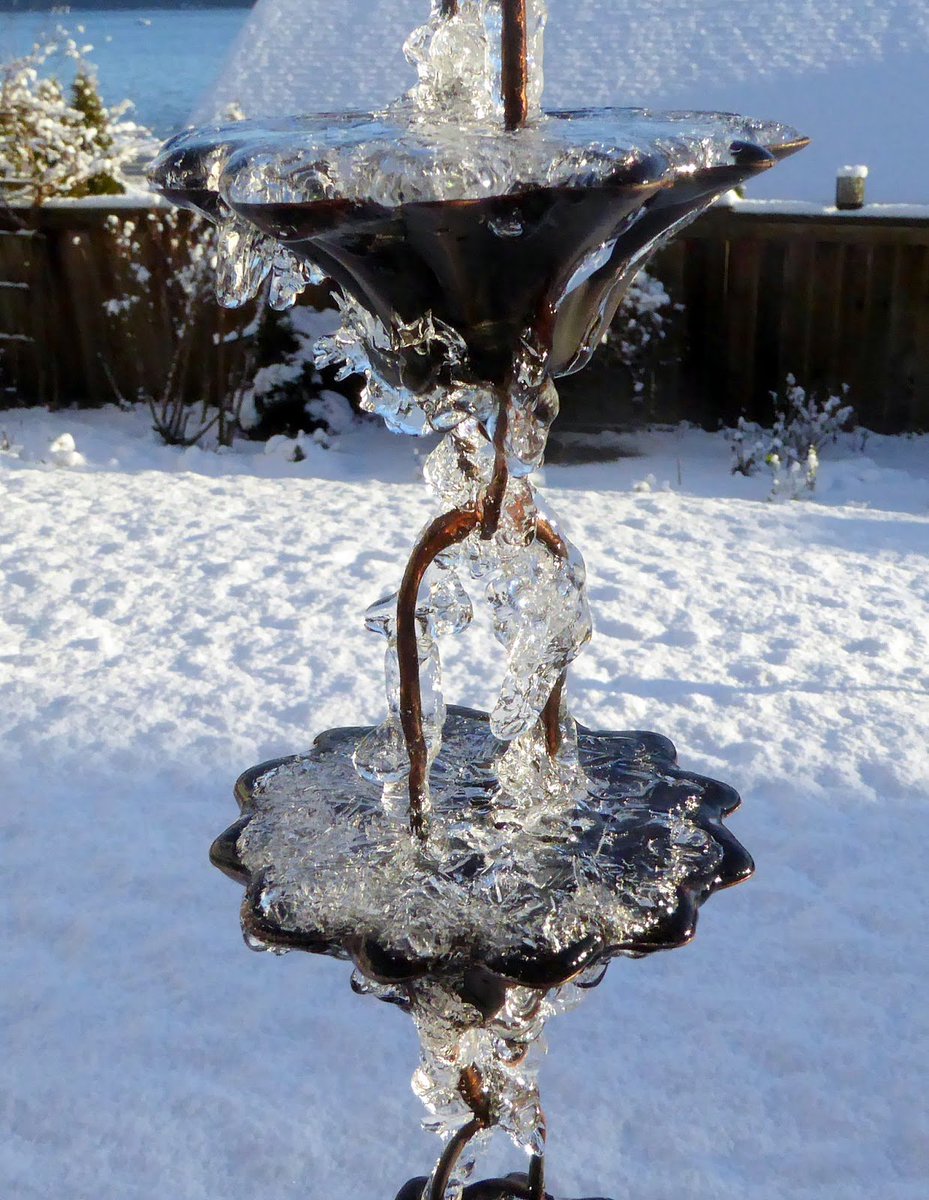 CroftRandle's tweet image. Campbell River, BC Rain Chain,