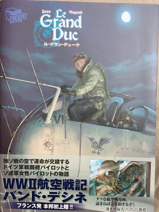 読んでた ドチャクソうまい絵で戦闘機が見られて最高だった ルフトバッフェ最高～～～～～!!!!! 