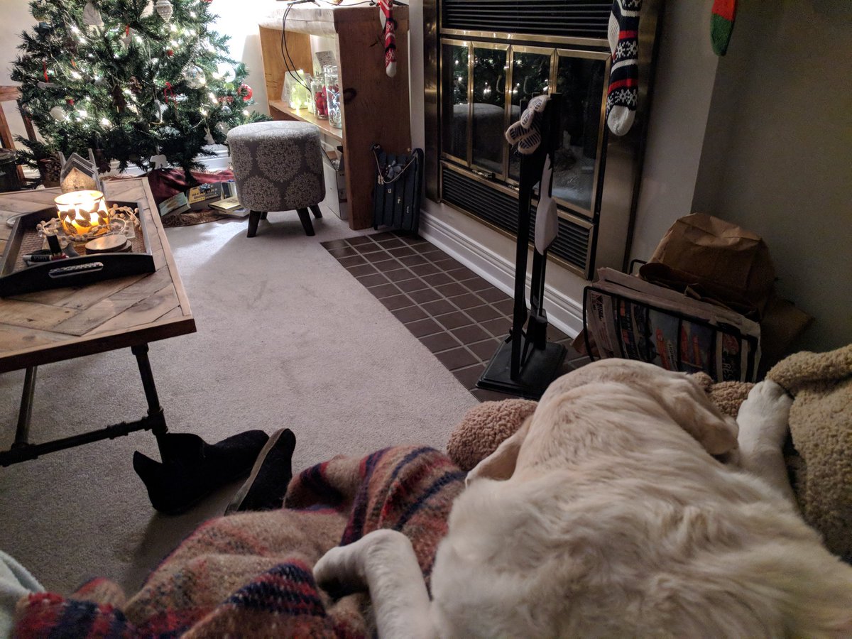 LifeInDogLane's tweet photo. @CBCOttawa Can the cold get any better? :) https://t.co/27x4cj0FFn