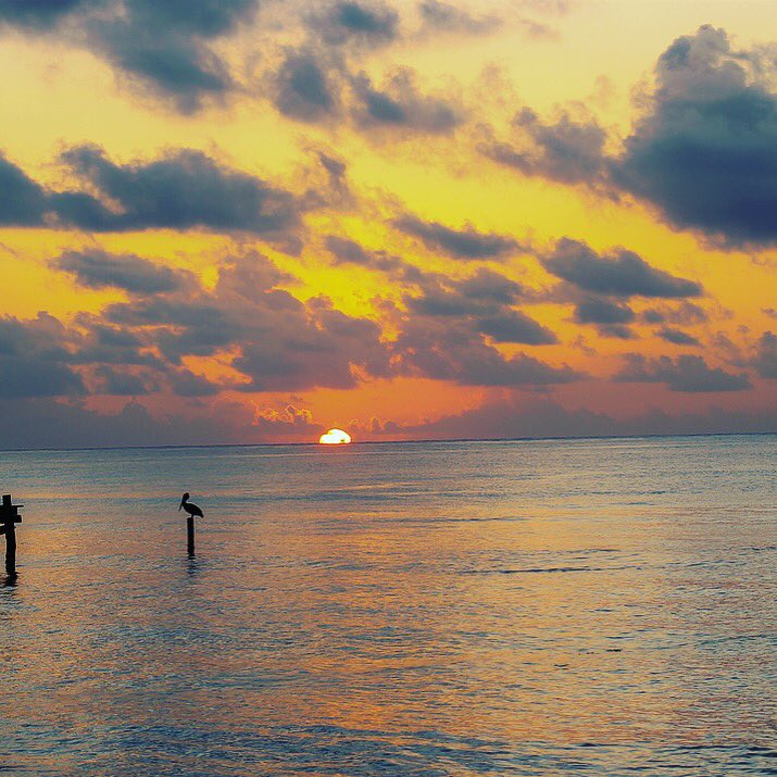 Travelbestgroup's tweet photo. Cancún 🇲🇽 | SUNSET
.
.
.
.
.
.

#travel #travelblogger #travelgram #travelphotography #travels 
#travelbestclub #travelbestgroup #mexico #cancun #beach #hotel #sunset https://t.co/wG9uzlcHoC