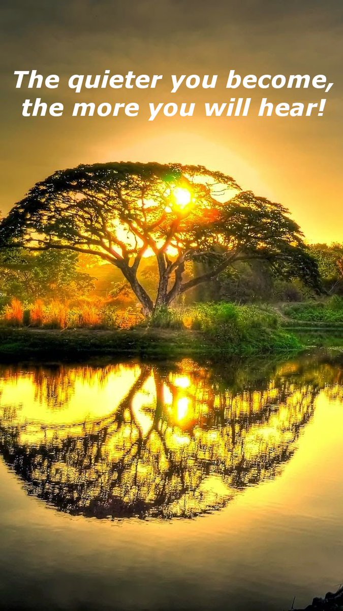 1SilentMan's tweet photo. Don't let the crazy world around you distract you from what is important. #Focus and find #Peace. #TraeYoung #FiestaBowl #IowaState #LamarJackson #Xavier #Fireball #LibertyBowl @FireballWhisky #Pac12 #BaconDay #EricagarnerRIP #Duke #Trump  #MAGA #POTUS https://t.co/wKpIUZfjEL https://t.co/m0plVLkvHY