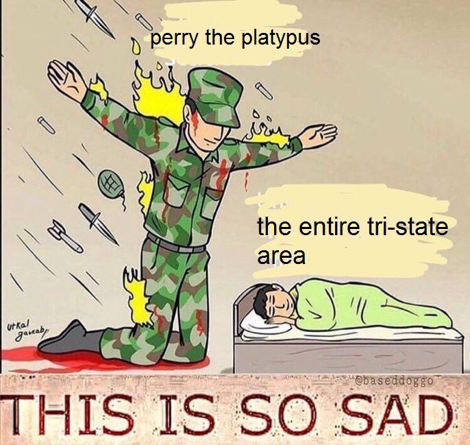 gordo (@internetciout) on Twitter photo 