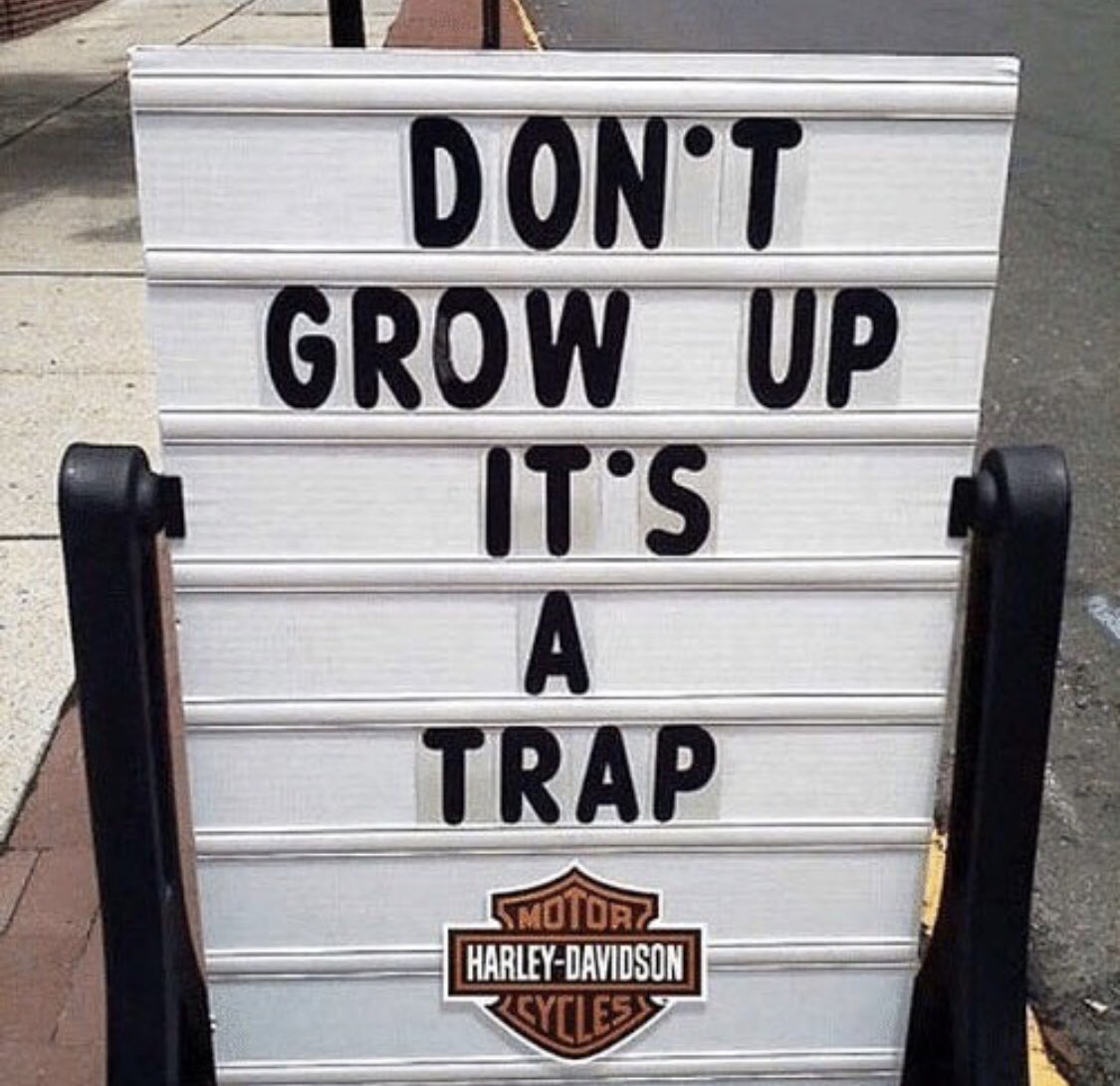 SDHarley's tweet image. Life Lessons 👌 #harleydavidson