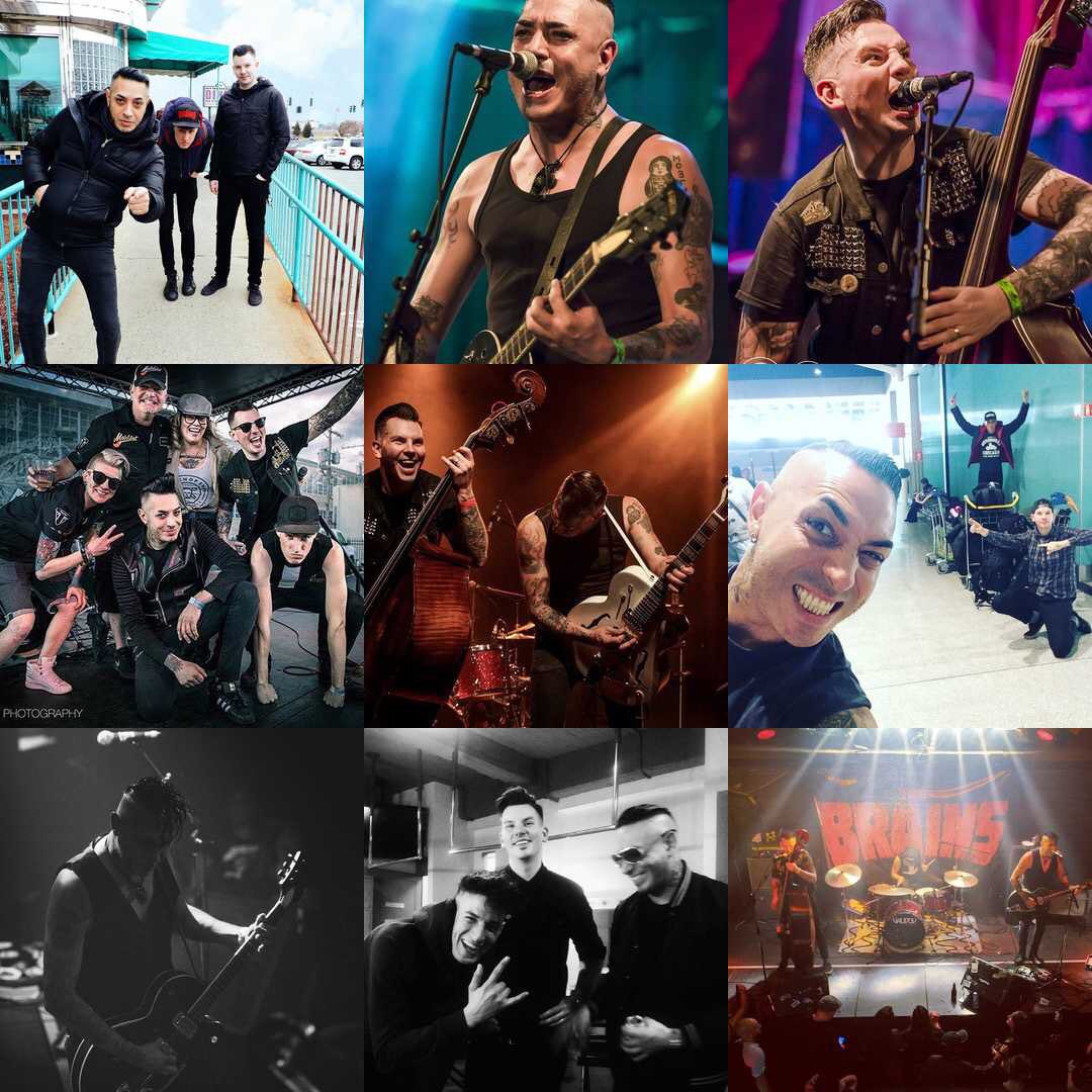 THANK YOU FROM THE BOTTOMS OF OUR BLACK HEARTS! 🖤 2017 has been a CRAZY year for @thebrainsmtl  and we have the best fan family to thank for that! 2018 here we come! #morebrains #thebrains  #tourtime