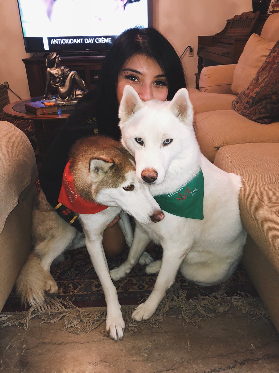 kirstin's tweet image. my babies @olafthehusky @pupnamedpascal instagram.com/p/BdWEpUiAZng/
