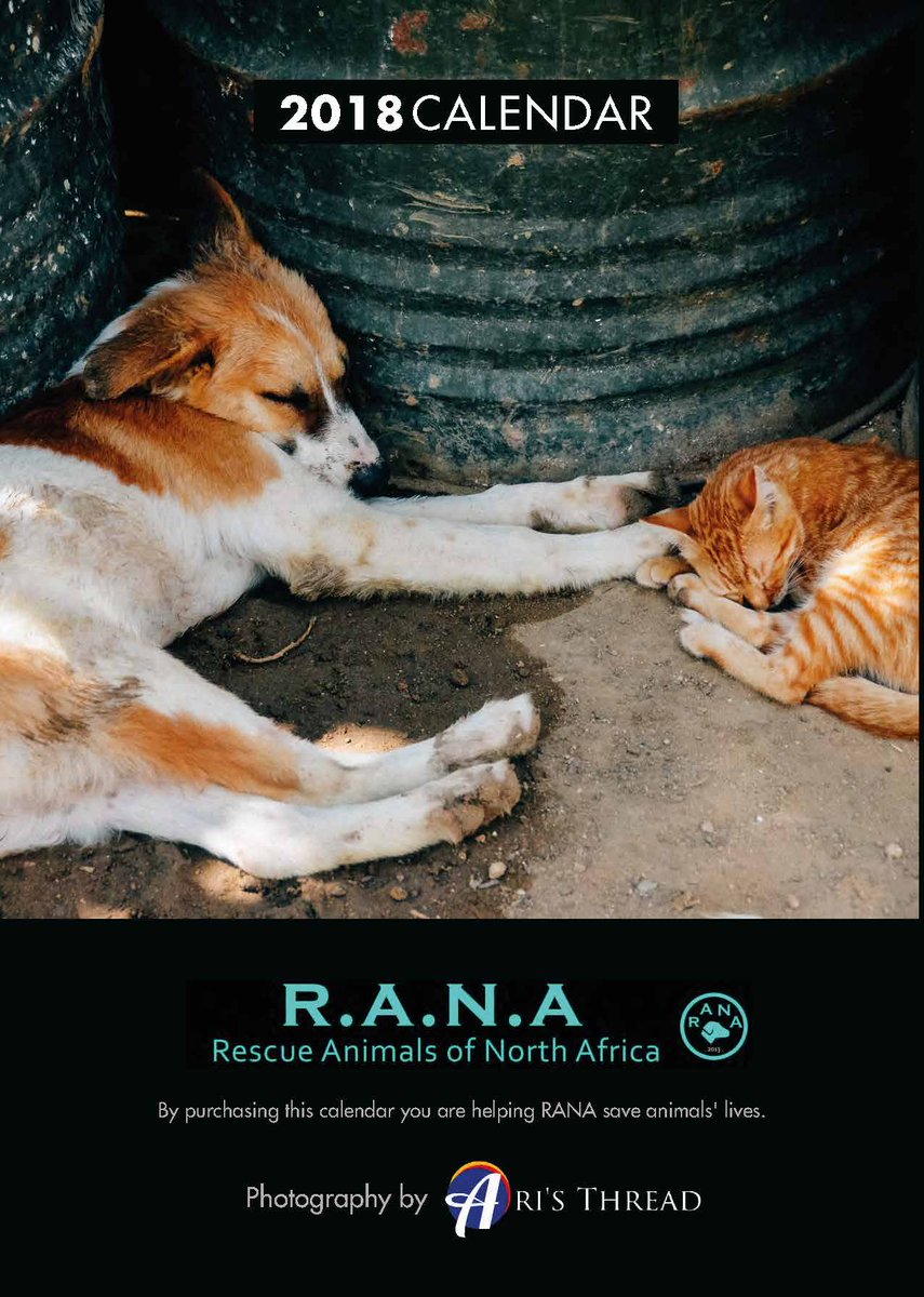 PhotographyPrin's tweet image. Buy your 2018 @RanaRescue  Animals of North Africa Calendar in our calendar shop at askcalendars.co.uk/p/29830/rana-2… … and help RANA save animals' lives with help from @AriannaCagli