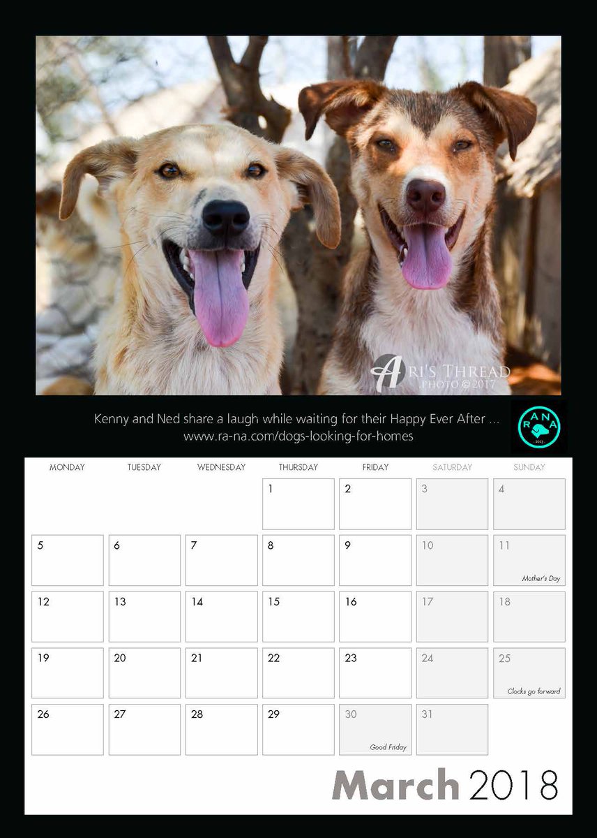 PhotographyPrin's tweet image. Buy your 2018 @RanaRescue  Animals of North Africa Calendar in our calendar shop at askcalendars.co.uk/p/29830/rana-2… … and help RANA save animals' lives with help from @AriannaCagli