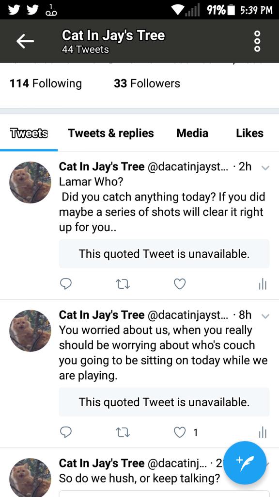 dacatinjaystree's tweet photo. Guessing "the Mayor" couldn't handle a cat in a tree. Thank goodness he isn't a dog. https://t.co/wh8n8bOMWO
