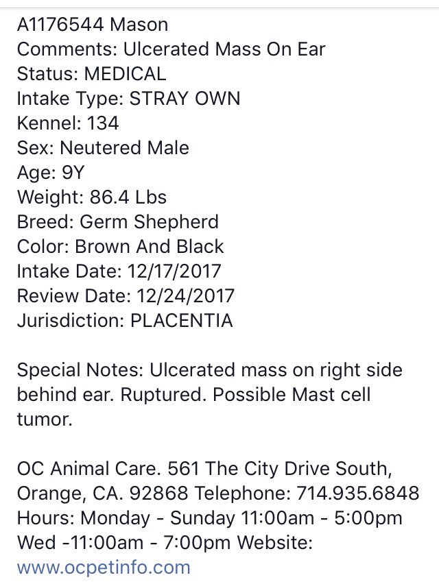 giselle1900's tweet photo. CODE RED🆘🆘9 YO #GSD WITH MASS BEHIND HIS EAR IS EUTH LISTED😭😭URGENTLY NEEDS #Pledge #Rescue #Foster PLZ HELP https://t.co/Hl9rfkbQOv #CA 
-@DogRescueTweets @Gdad1 @ruthmen @Stacey5899 @WinglessBird_ @bbschumann @_AnimalAdvocate @The_Animal_Team @RejectedAnimals @GraffiteAdam https://t.co/kQB0nV2Rhq